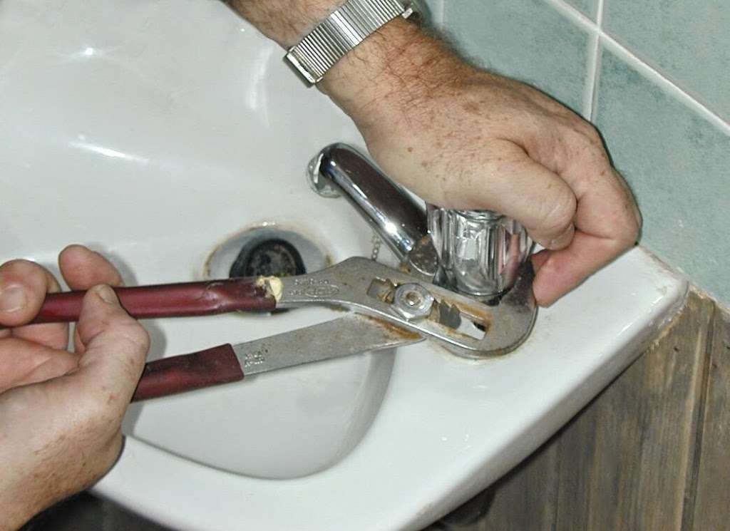 Servis Görseli